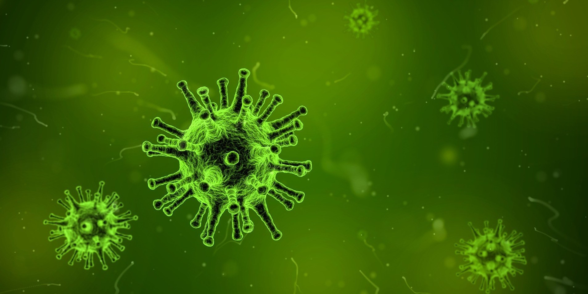 Corona Virüs (COVID-19) Salgını için Alınan Önlemler